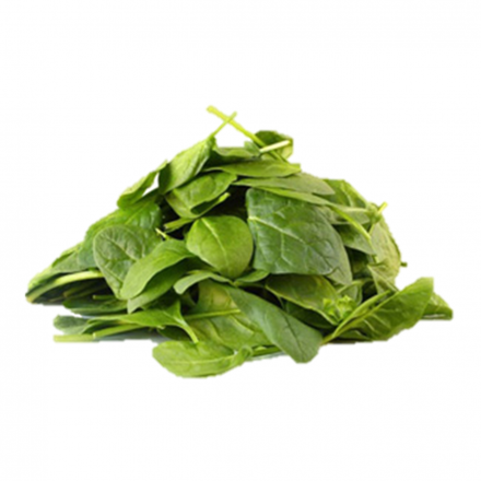 Espinaca organica