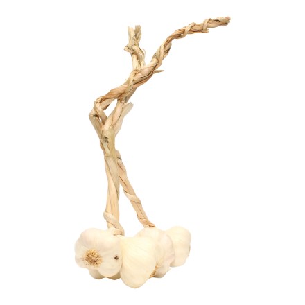 Trenza de ajo agroecologico