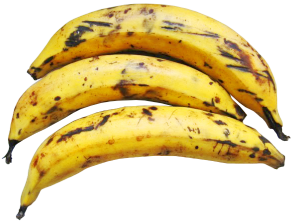 Platanos