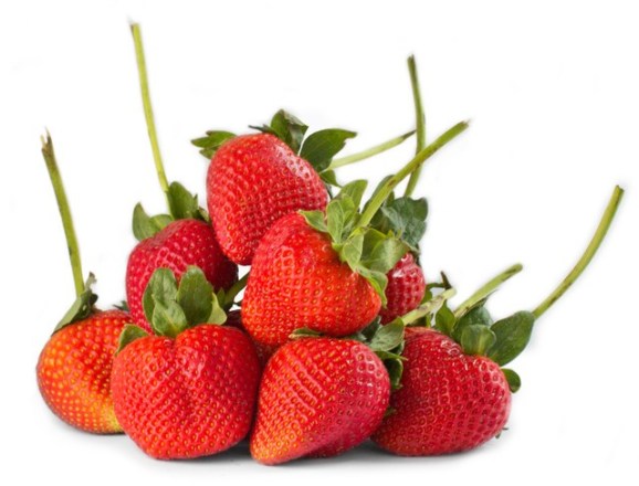 Fresas agroecologicas