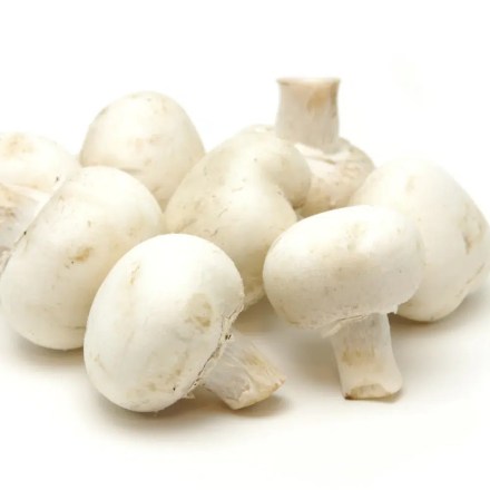 Champiñon agroecologico