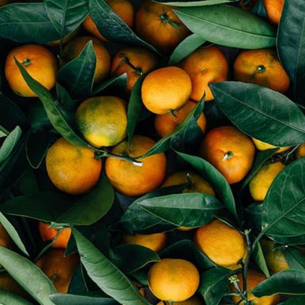 Mandarina agroecologica